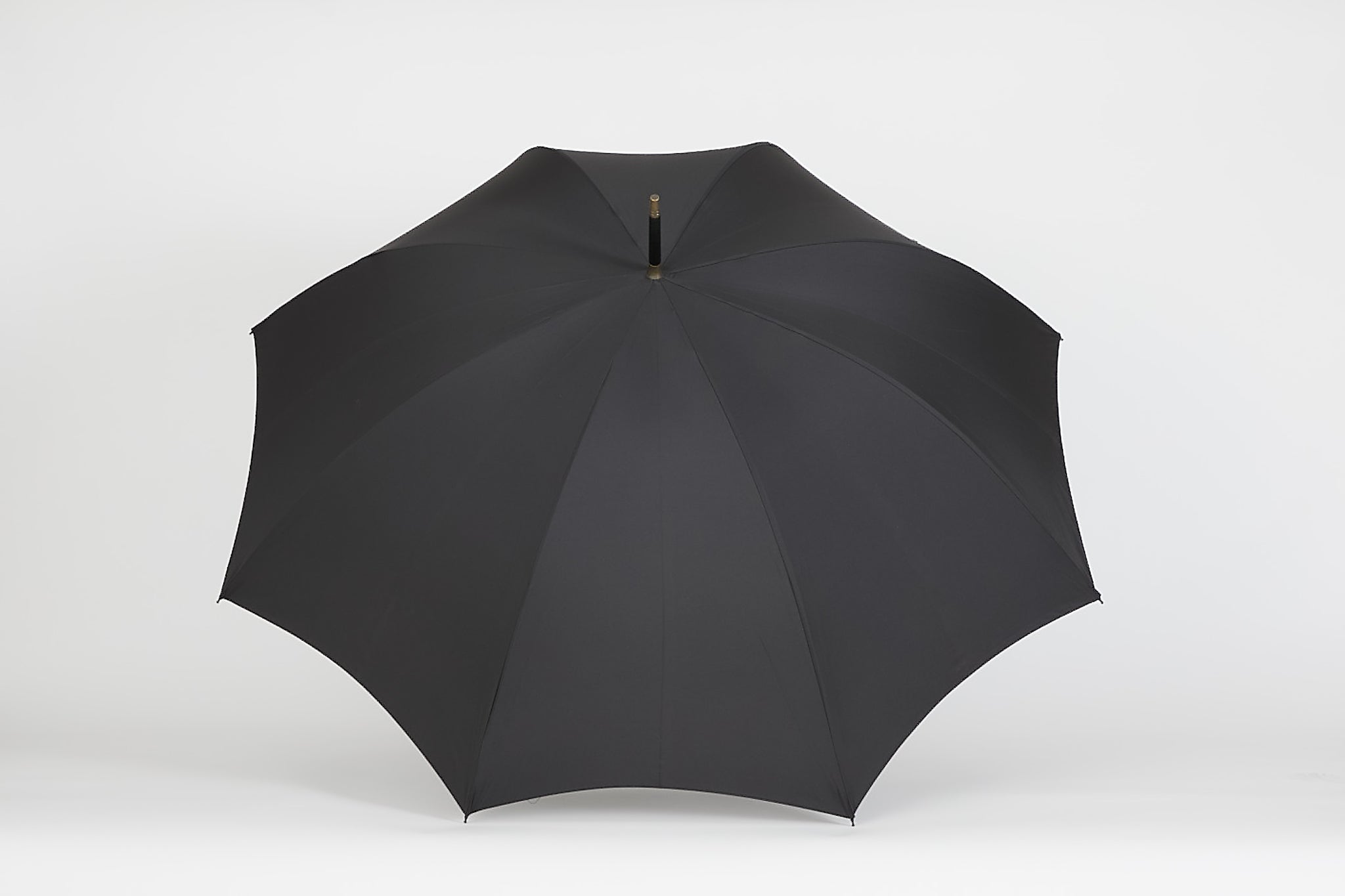animal head umbrella